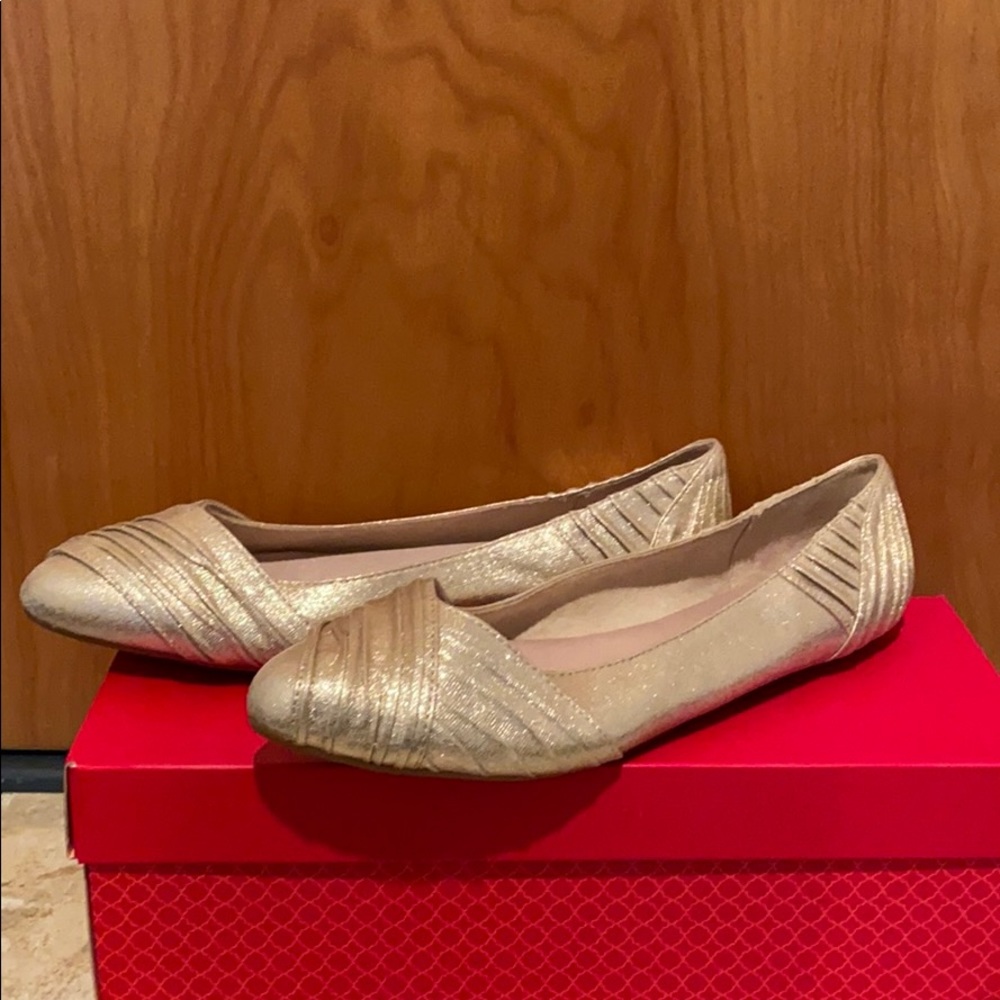 Rose Gold Flat shoe